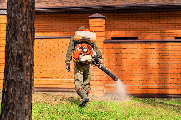 Trusted Cockroach Control service in Whitefish Bay, WI - Nex Pest Control